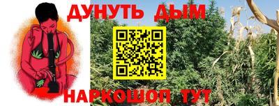 spice Дубна