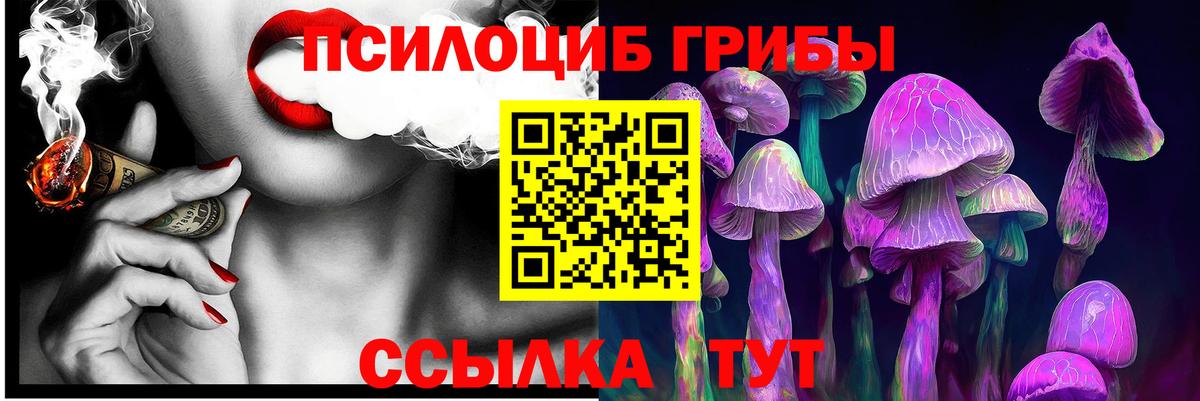 Галлюциногенные грибы мицелий  Вход с VPN  Псилоцибиновые грибы ЛСД  Малгобек 